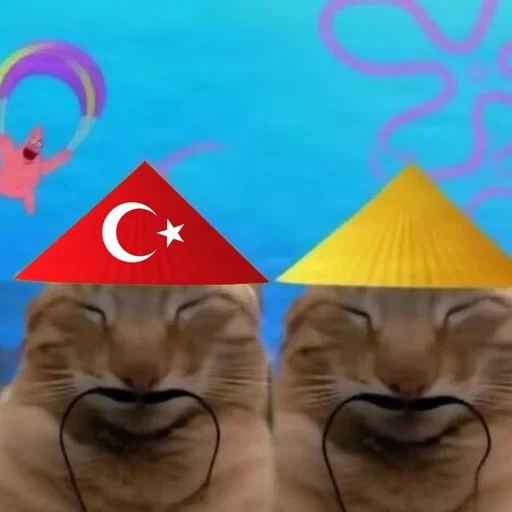 MarioPrezldente's tweet photo. Why is it only a chinese cat?

Its both sides fighting, it should be turkey + china

https://t.co/2c1jGIYFvO https://t.co/koRfo5G2yW