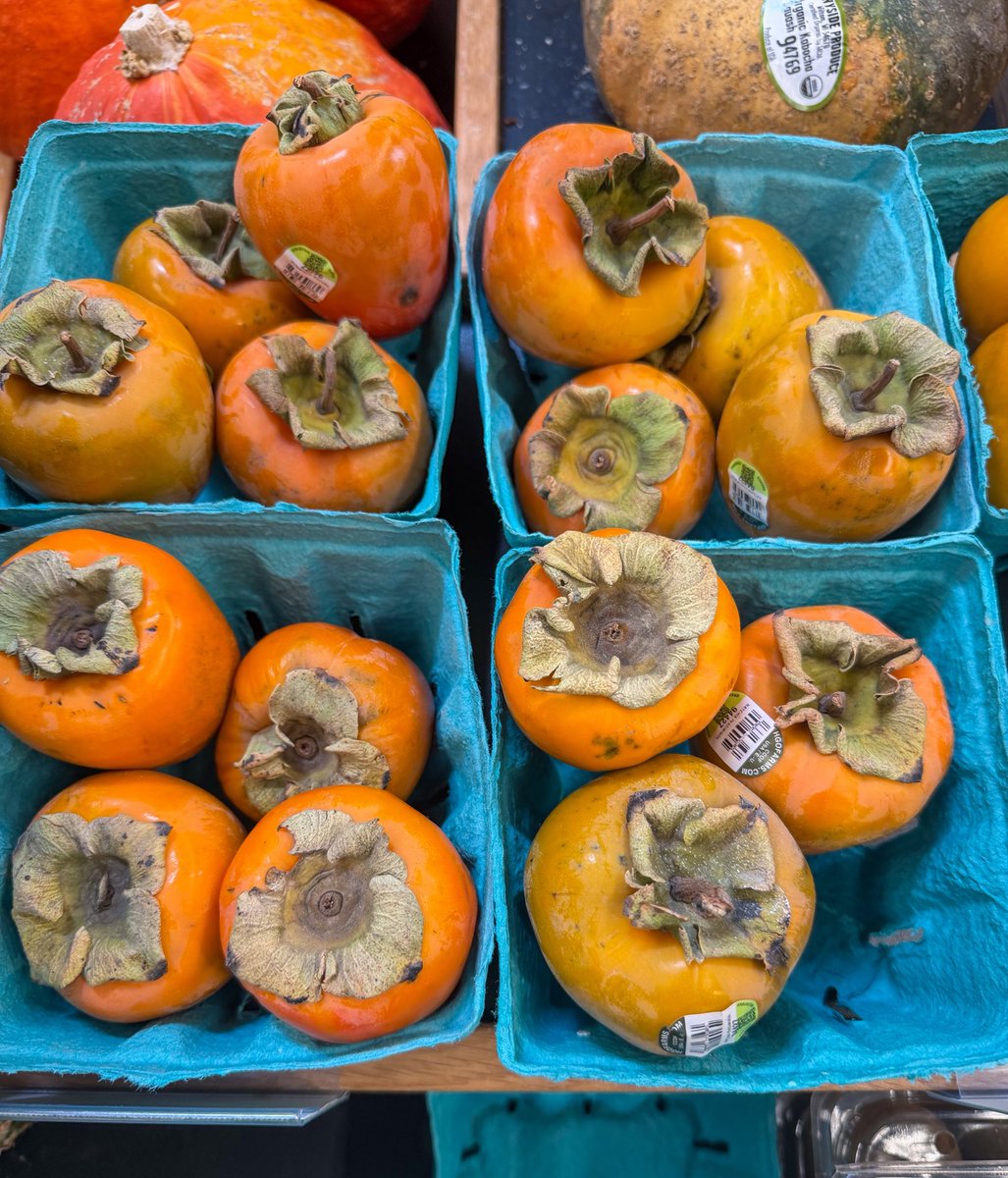 irlzeldas's tweet photo. One of the greatest fruits of all is back in season! Hello persimmons! https://t.co/7dEedSUwbx