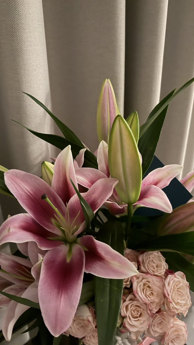 floraldiaryyy's tweet photo. https://t.co/knwWDzRhKG