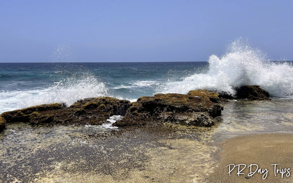 PRDayTrips's tweet photo. Buenas Tardes #PuertoRico - I Love Crashing Waves (from 2022) #estaesmiisla https://t.co/a0seNOpPjo