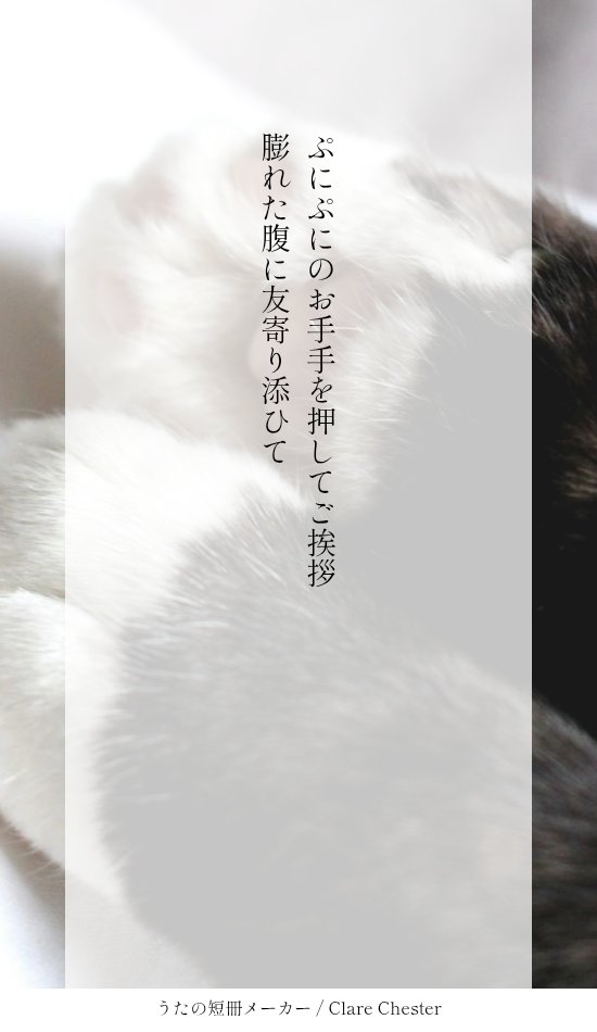 elgar_yuki's tweet photo. #狛恋版深夜の真剣創作一本勝負
お題「肉球」生存if 1.5h＋画像化
続けて参加失礼します🙂‍↕️ https://t.co/dxbK0xbjfq