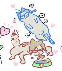 okbdko123's tweet photo. ? https://t.co/KUkW1xDpYc