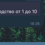 Photo by слойка с сыром (@killstealbreak)
