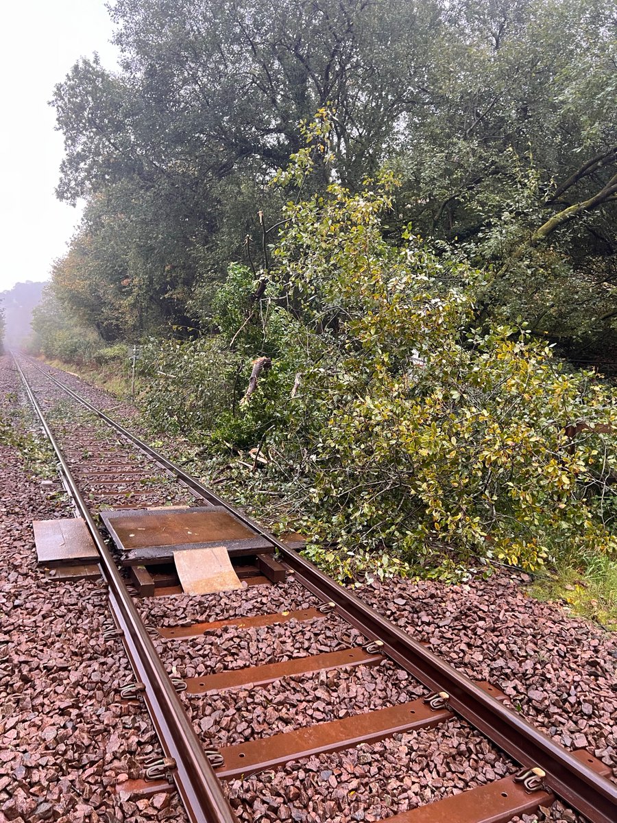NetworkRailWAL's tweet photo. We are working hard to respond to the impacts of #StormAusten today🌳💨 

We are out across the network clearing trees and debris, checking drainage and flood monitoring as high winds and heavy rain continue into the weekend.

Please check your journeys➡️ https://t.co/0zubiHyJ25 https://t.co/9JgDMtWdz2