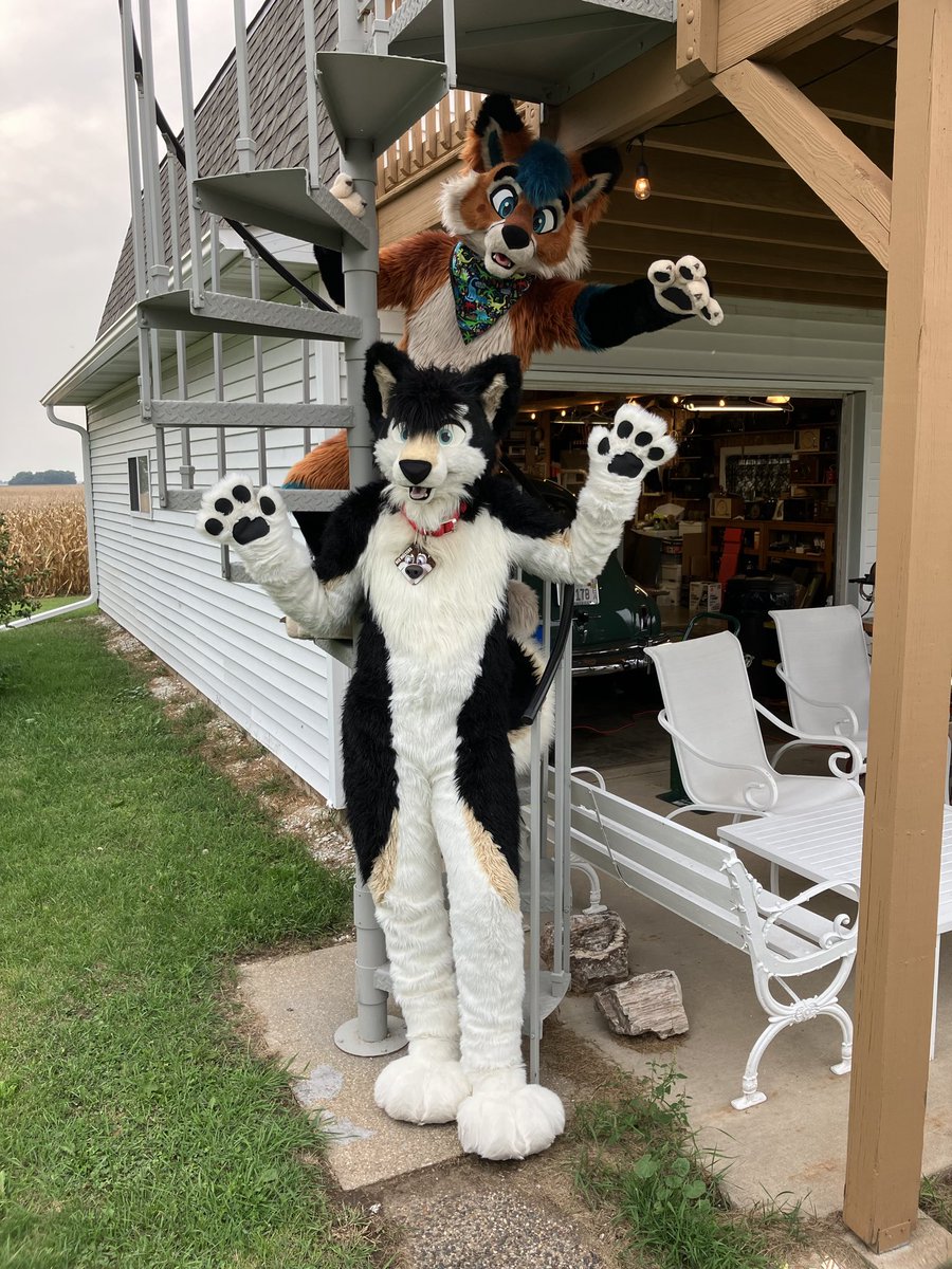 MastersRex's tweet photo. Here’s an oldie for Friday’s pic
@electropaw https://t.co/yGlJGwMWxm