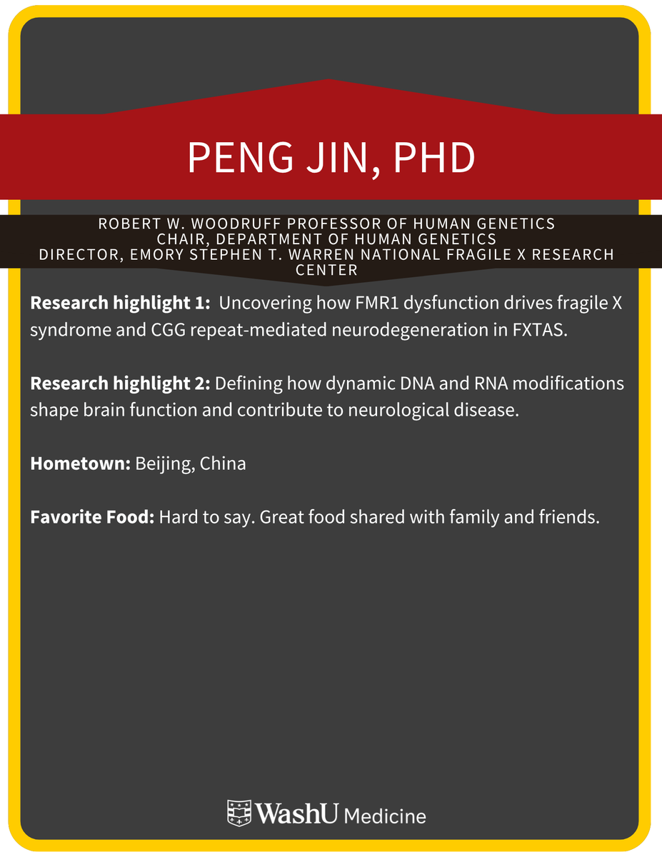 WashUGenetics's tweet photo. Join @WashUGenetics next Thursday Oct. 29 at Noon in Connor Auditorium when Peng Jin, PhD @pengjinATL presents, “Two Faces of FMR1: FMRP Deficiency and CGG Repeat-Mediated Neurodegeneration”, hosted by Dr. Jenn Cremins @CreminsLab! https://t.co/91vn5IZmoR