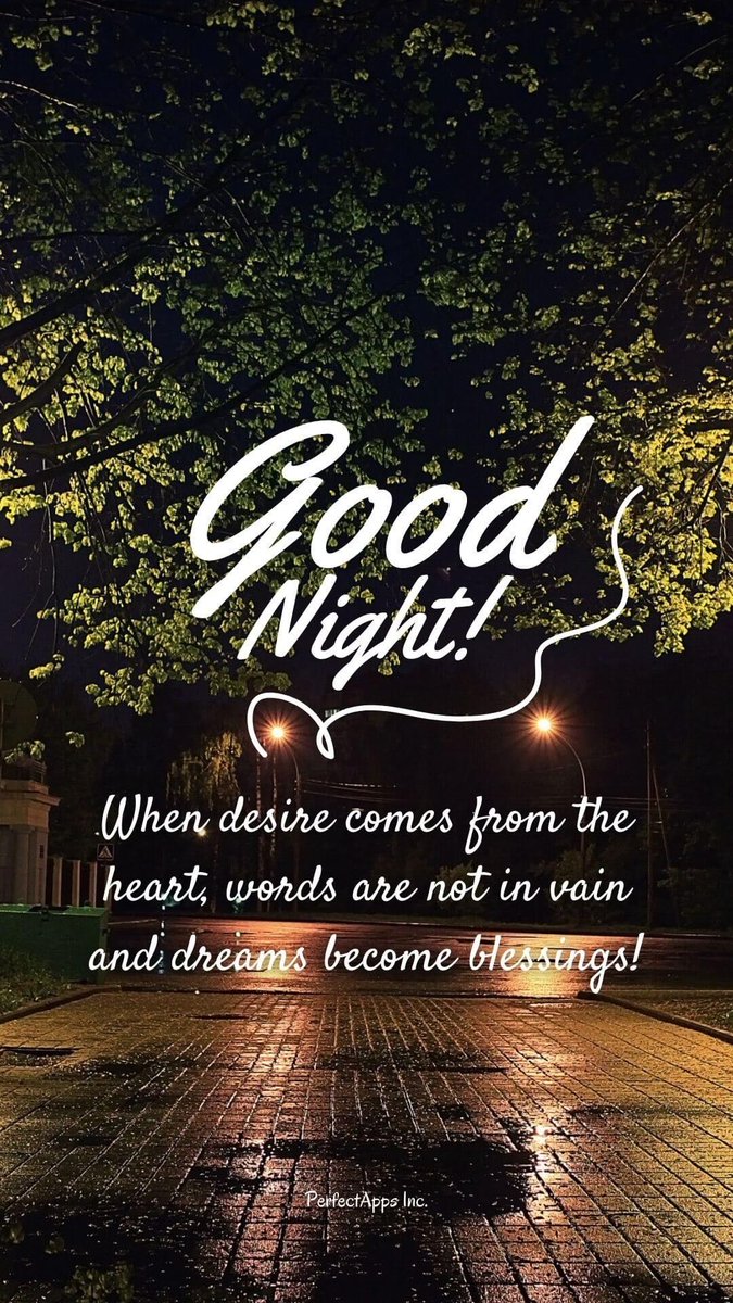 emfarook's tweet photo. Good Night.
When desire comes from the heart, words are not in vain and dreams become blessings. https://t.co/BZOMPSMbzu