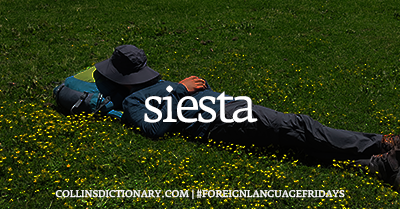 CollinsDict's tweet photo. #WordOfTheDay - SIESTA

1. NOUN
a rest or nap, usually taken in the early afternoon, as in hot countries

https://t.co/zSeokJkqZn

[Image description A Collins Dictionary “Word of the Day” graphic dated 23rd October 2026. The background is a man having a nap on grass with a hat over his face. Centered in white text is the heading “Collins Word of the Day,” followed by the word “siesta” in large lowercase letters. Above the word is the label "noun” with its phonetic spelling. Beneath it, the definition reads: "a rest or nap, usually taken in the early afternoon, as in hot countries” At the bottom of the image is the text “https://t.co/XxG1O9laEu | #ForeignLanguageFridays”]

#CollinsDictionary #Siesta #ForeignLanguageFridays