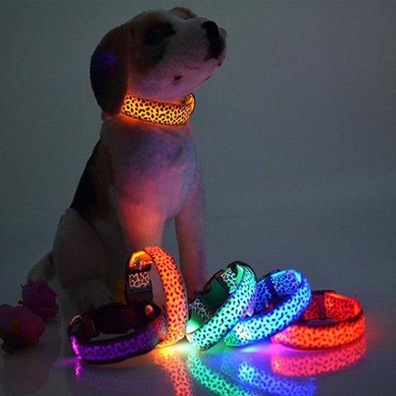 StefanAlinxhai's tweet photo. Imagine walking your black dog at 18:00 in November. You can hear her, but you can't see her. A rechargeable LED collar makes her visible. I sell it in my shop, GetPetWell: https://t.co/8USCdIxZQu #DogWalk https://t.co/EHNVnOJxlt