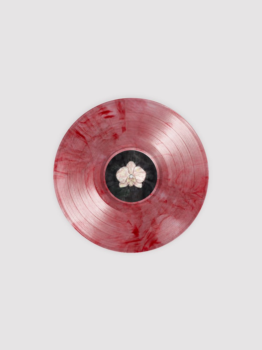 vertigovinylga's tweet photo. VV x isobel

repost + follow to enter giveaway for signed copy 

isobel releases her first ever vinyl for her debut album, scarlet, pressed on red marbled vinyl. Includes a signed insert and is limited to 500 hand-numbered copies.

https://t.co/yX7DAcqTBv https://t.co/aLrglbPwVY