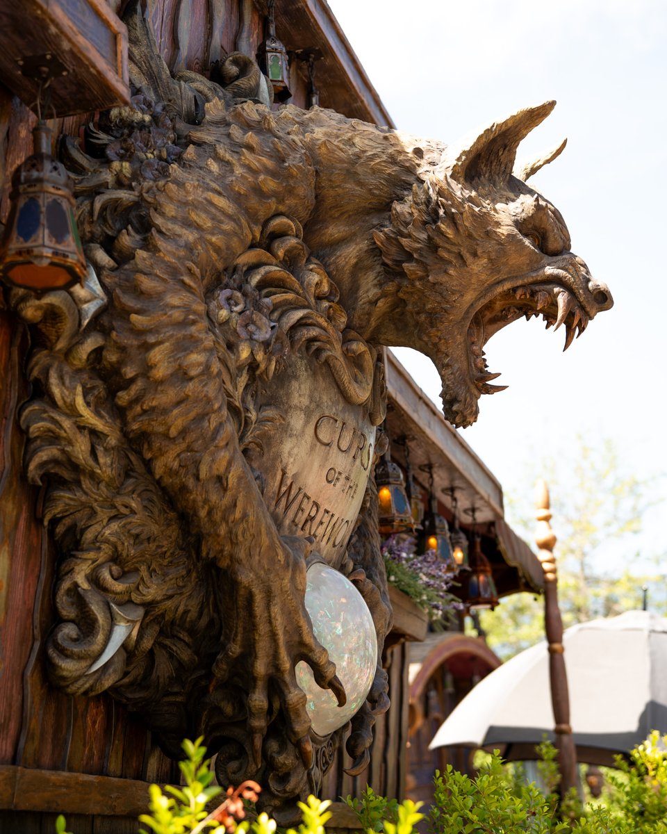 UniversalORL's tweet photo. We’ll take this curse any day of the week. 🐺 https://t.co/kU2PFsdfIA