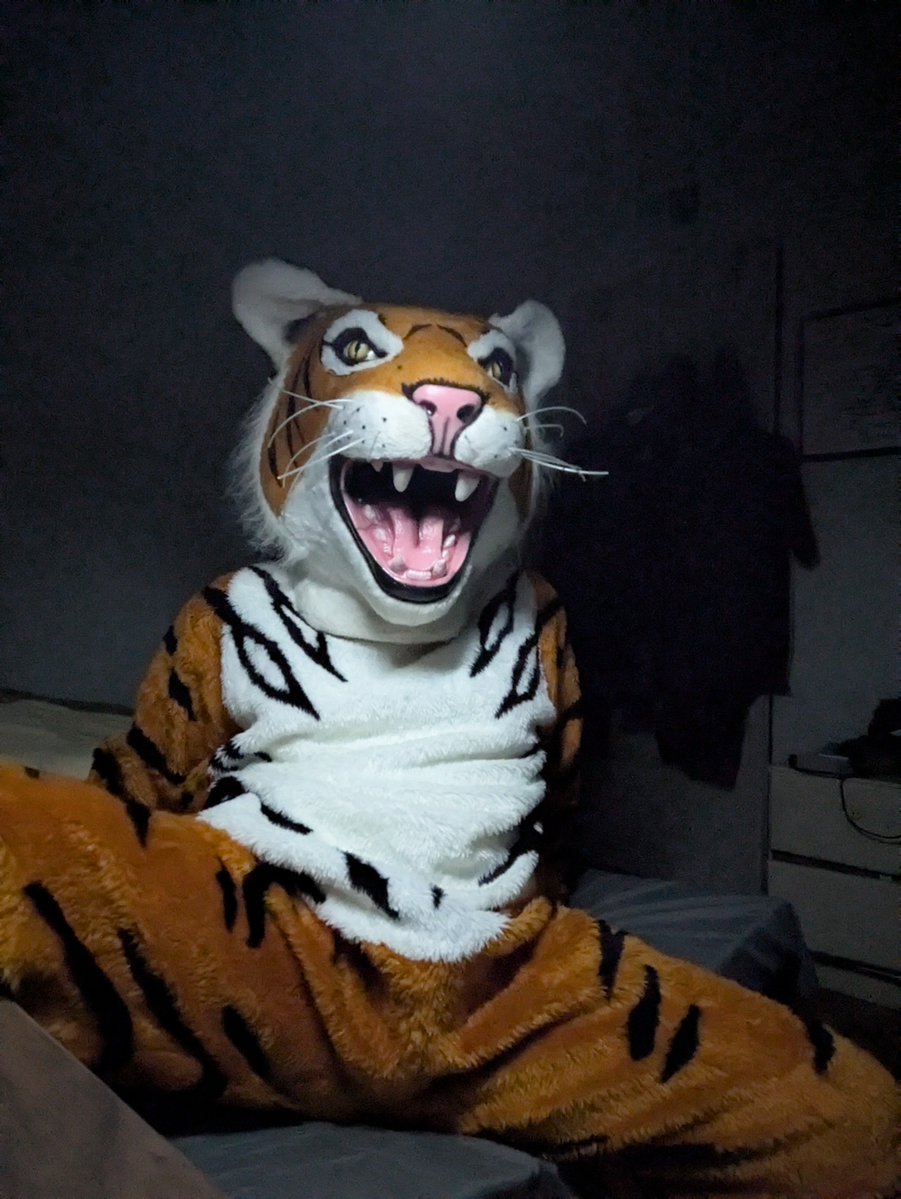 ZentaiRenamon's tweet photo. Tiger's back out to destress~ https://t.co/ySwhF0ZAED