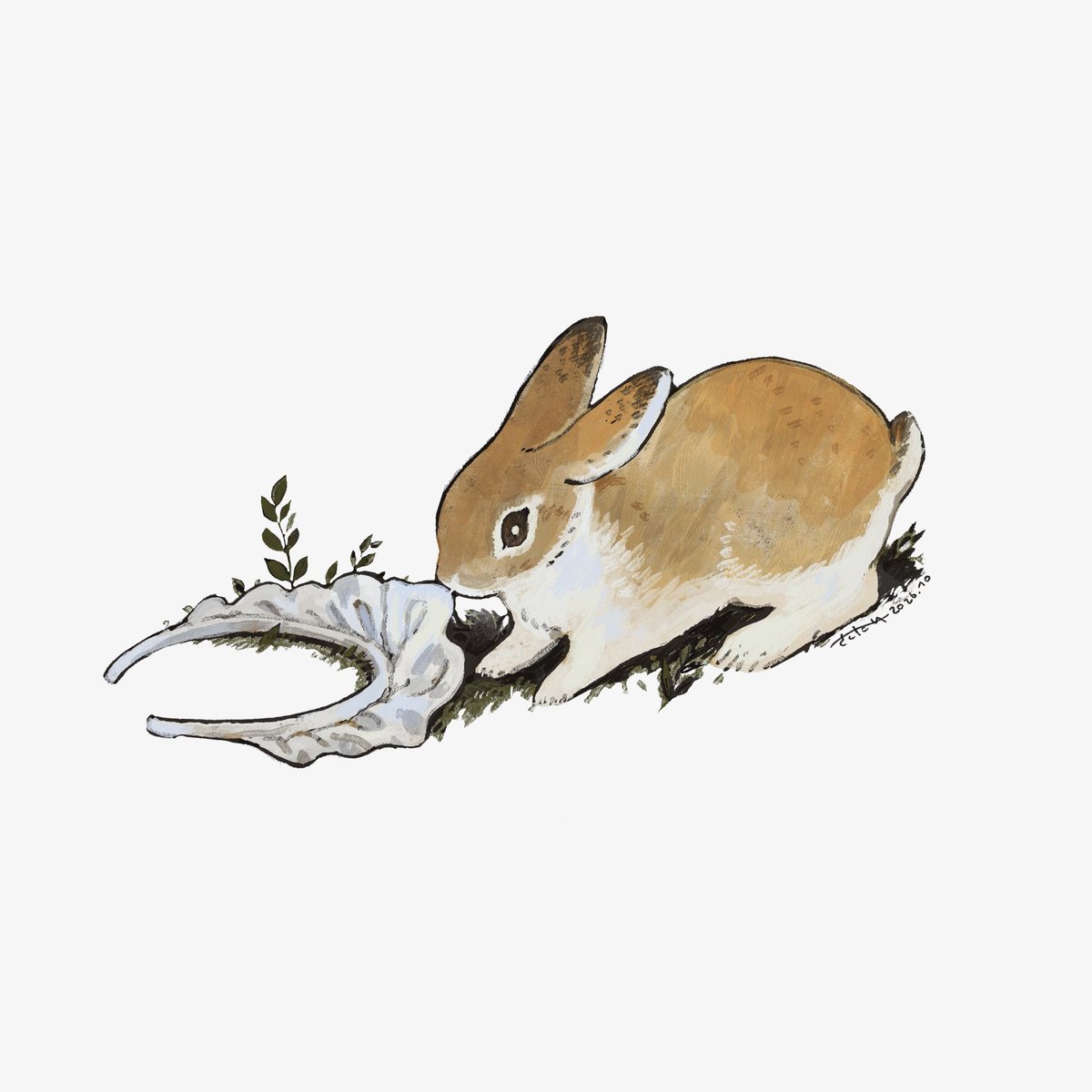 sksktktk's tweet photo. ☕🐇 https://t.co/vPYDLJyQPG