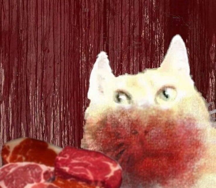 cabwebby's tweet photo. when you get left alone with a friend for 5 minutes so the urges kick in https://t.co/nHmSUQFzX4