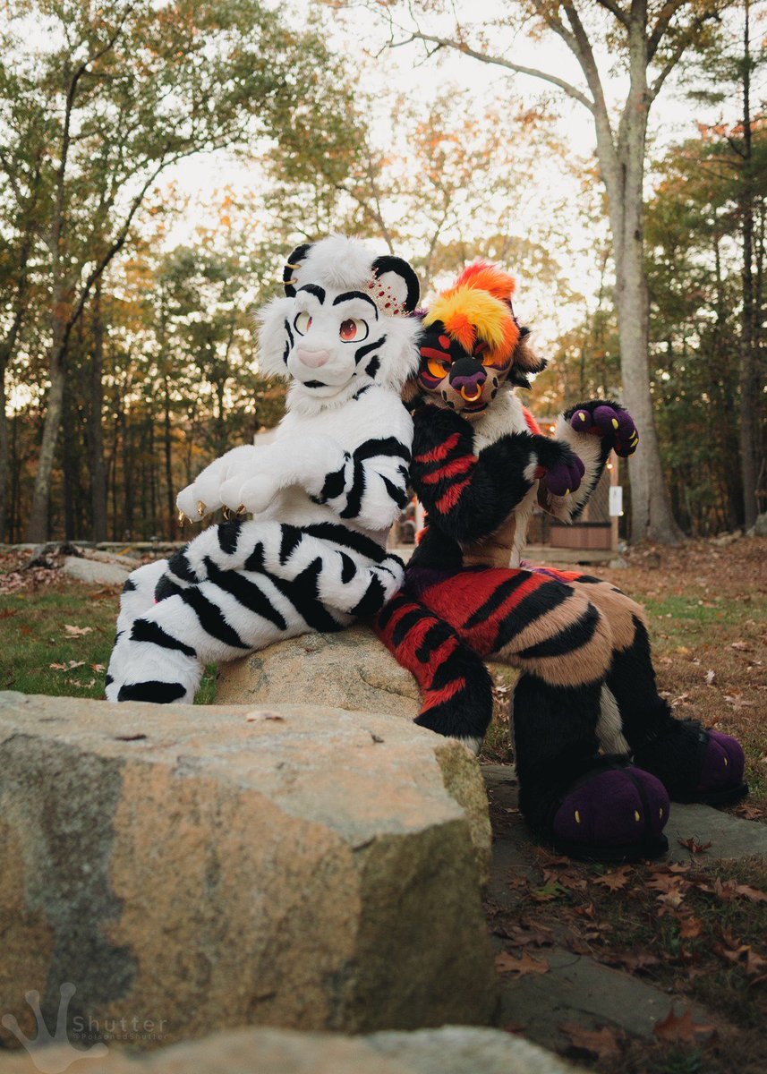 Scarburne's tweet photo. think you can handle all these stripes? 🐯

#FursuitFriday
⚪️: @KingAkkord 
📸: @PoisonedShutter https://t.co/3E7y6WG4QS