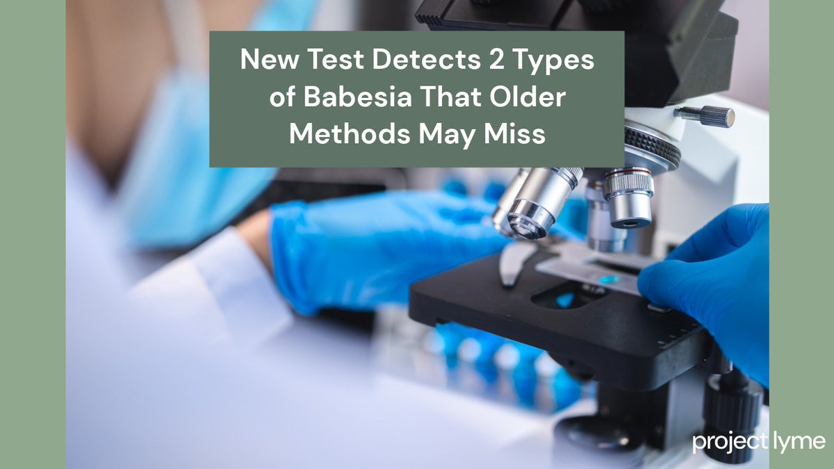 ProjectLyme's tweet photo. 1/2 Researchers developed a new test that uses mitochondrial DNA to detect two Babesia species at once (B. microti and B. odocoilei) and tell them apart. This DNA occurs in multiple copies, helping researchers pick up small amounts of it. https://t.co/C4tOvznZco https://t.co/J4prIBEmZj