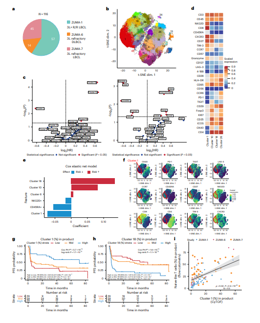 AponiaAnalytics's tweet photo. 🦉 CAR-T cells carry the scars of prior treatment

In 580 lymphoma patients, CAR-T products rich in naive-like T cells were linked to a 54% lower risk of progression or death (HR 0.46).

These cells became less abundant after successive treatment lines. Their association with survival persisted after adjusting for tumor burden, inflammation and CAR-T expansion.

The implication: earlier CAR-T treatment may preserve the cellular quality needed for lasting responses. But causality remains unproven.
#immunotherapy #CAR_T #T_cell
https://t.co/GAN67wP3OV