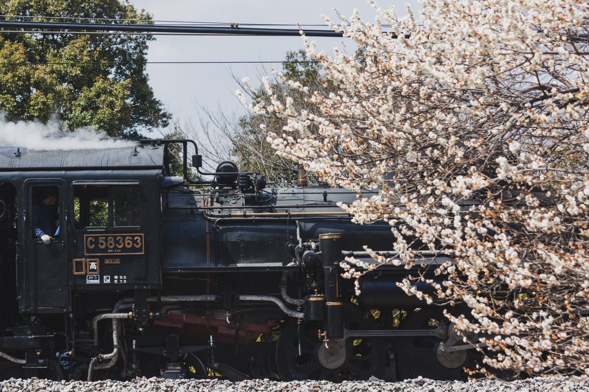 2_9bu1's tweet photo. C58試運転、途中で止まってしまいDD救援、SL＆DLぬまた号になってしまった回
(定番のカミアンSで待ってたらあと少し！ってところで来なくてすげぇモヤモヤしたんだろなw) https://t.co/rs3KlH8c7E