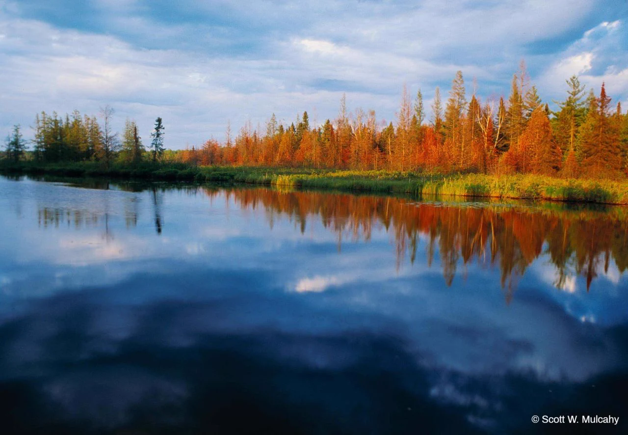 The Nature Conservancy on X: 
