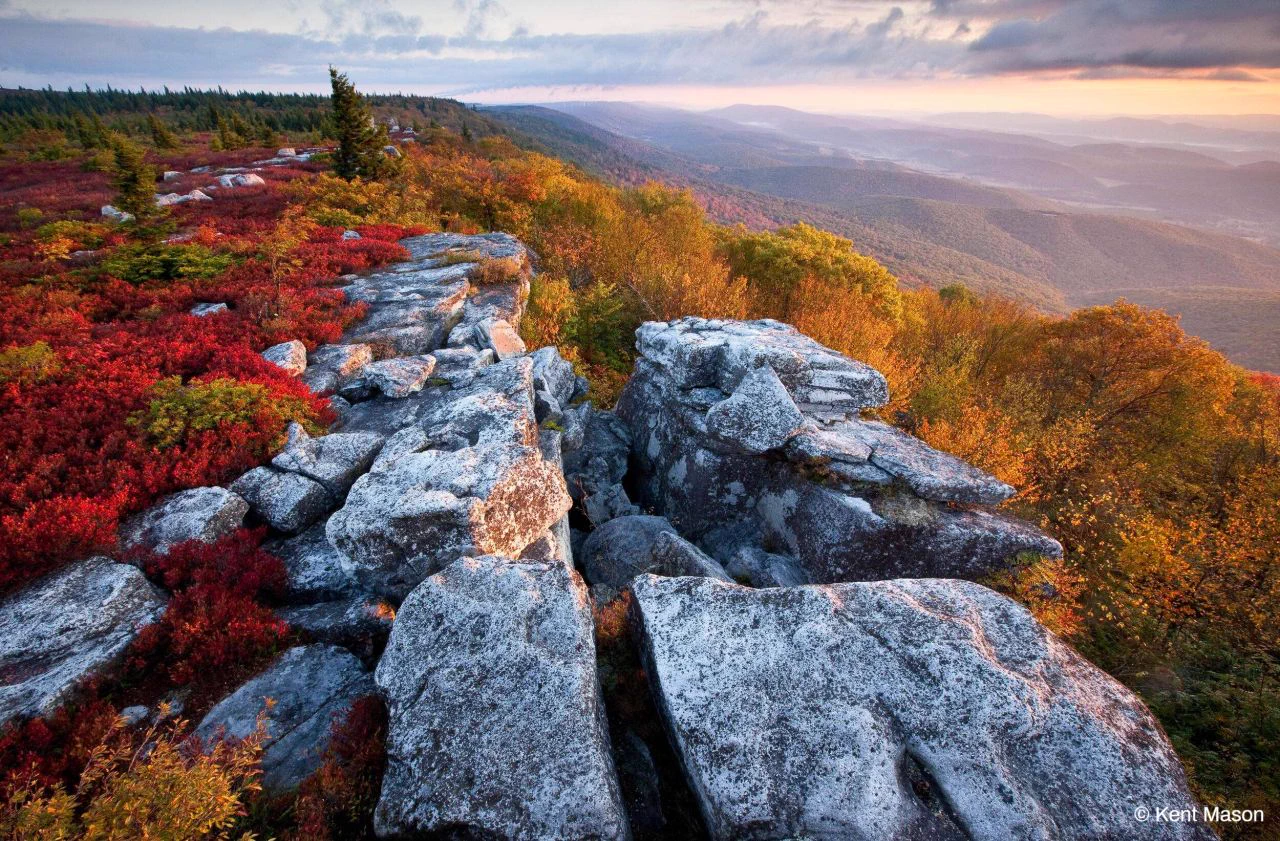 The Nature Conservancy on X: 