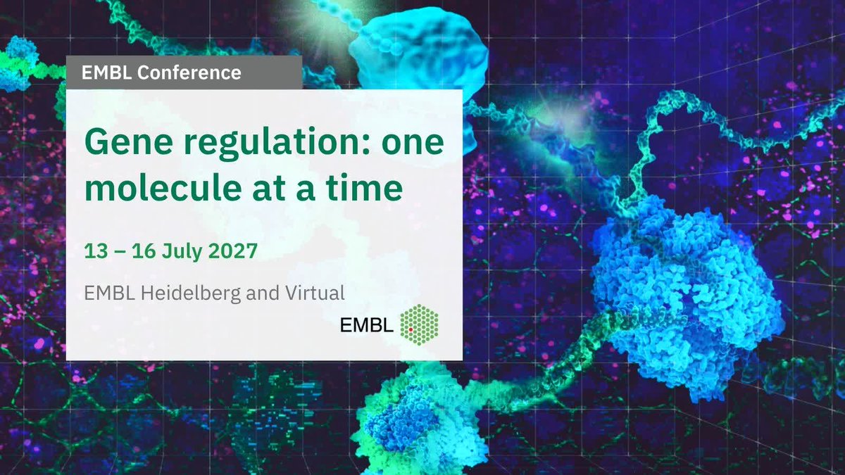 EMBLEvents's tweet photo. 🧬 Join us for the EMBL Conference 'Gene regulation: one molecule at a time': https://t.co/cH0Y1cxQyI

Advances now make it possible to measure regulatory events on individual DNA and RNA molecules in living systems. Integrating these complementary approaches is essential for moving from static descriptions to predictive, mechanistic models.

#EMBLSingleMolecule will bring together scientists working across chromatin organisation, transcription, RNA processing, translation, quantitative biology and computational approaches.

You can look forward to these key themes:
🟢 Chromatin organisation and epigenetic regulation
🟢 Transcription dynamics and regulation
🟢 Co-transcriptional RNA processing and RNA fate
🟢 Translation regulation
🟢 Single-molecule imaging in living cells
🟢 Single-molecule genomics
🟢 Quantitative and theoretical models of gene regulation
🟢 Integration of imaging and genomics
🟢 AI, computational analysis and best practices for single-molecule data

🗓️ 13 – 16 July 2027
📍 EMBL Heidelberg and Virtual
👉 Register by 6 April