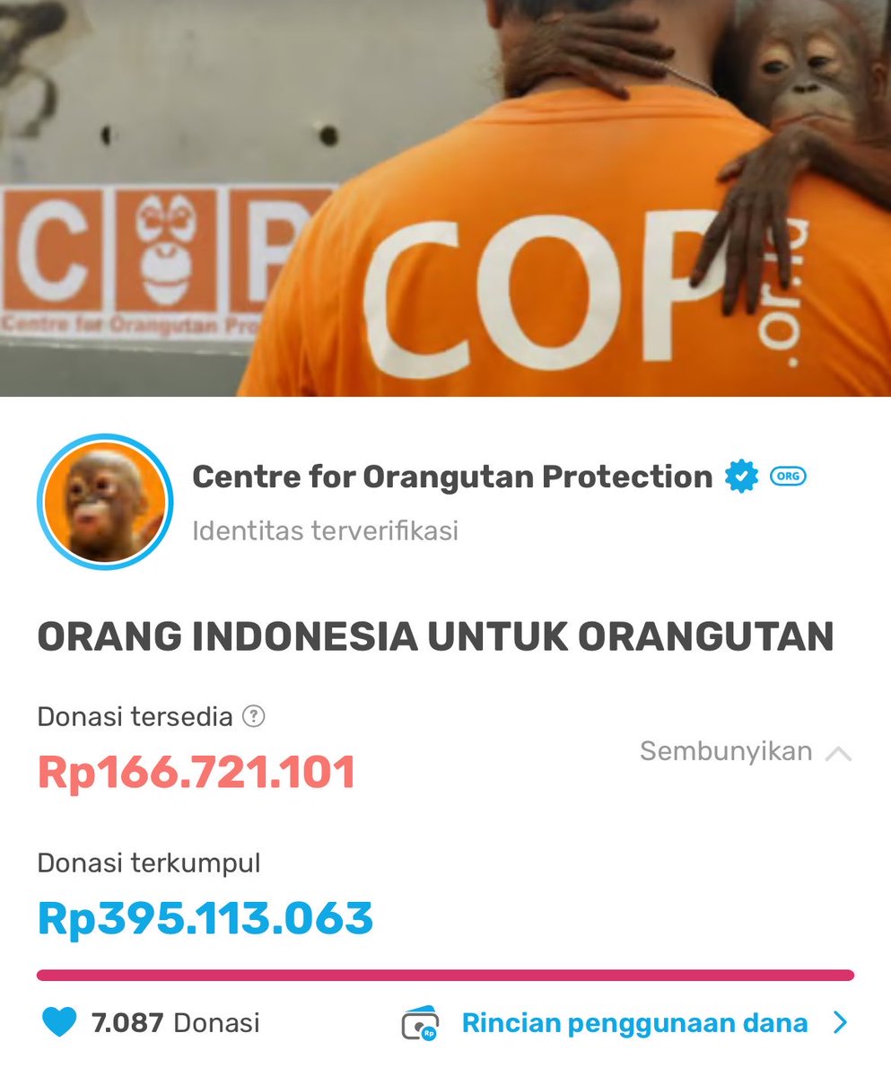 indiratendi's tweet photo. Terima kasih teman2 yg sudah berdonasi untuk COP.

Di Berau mulai sering turun hujan &amp; titik api sudah jauh berkurang.

Tim COP tetap rutin melakukan patroli habitat untuk mengecek titik api &amp; mencari jika ada orangutan yg butuh pertolongan.

Sekali lagi terima kasih banyak ♥️🦧 https://t.co/yjrBqEGUK2