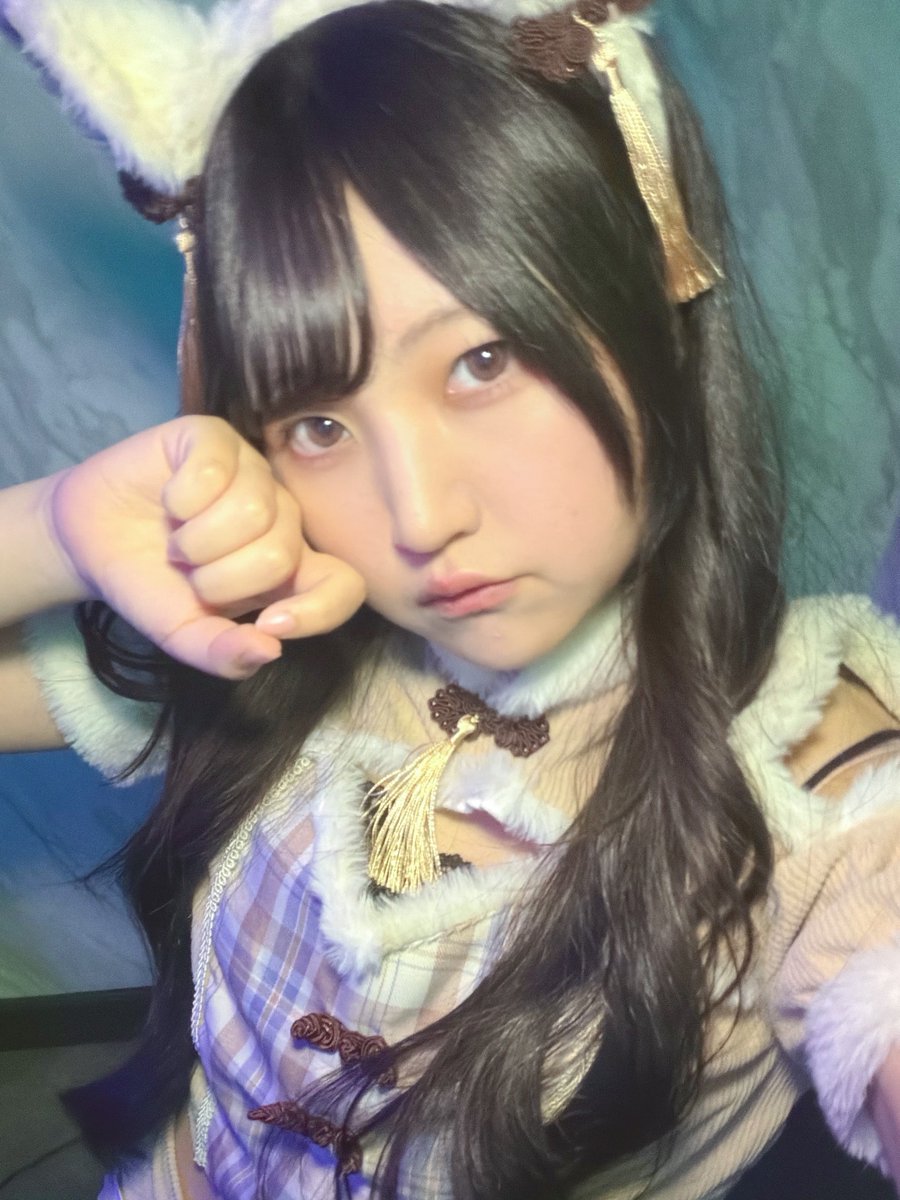 amahimenyan's tweet photo. 21時~24時にゃんこです‼️ https://t.co/FuLH336udC