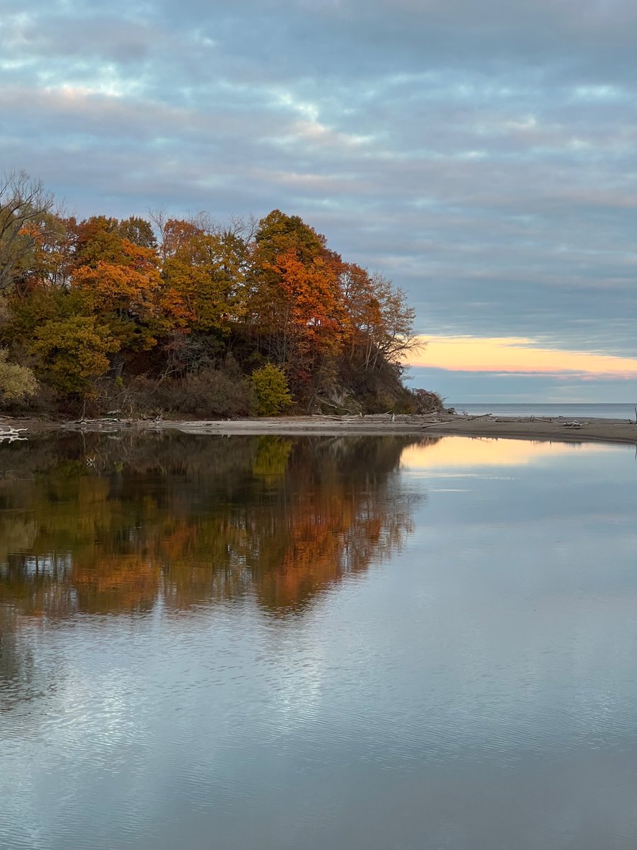 SophiaPriya's tweet photo. Good Morning Everyone☕️🌞🍁.  
Have a Fantastic Friday on this crisp fall day.  
[Nature Photography📸 by Priya]. https://t.co/KExqcqqx0O