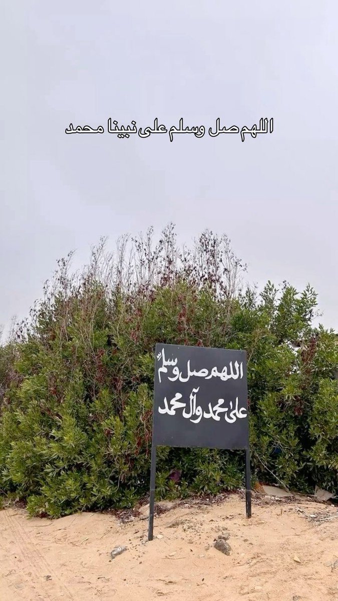 i4ierr's tweet photo. اللهم صلَ وسلم على نبينا محمد 

#يوم_الجمعة https://t.co/H78radNTWD
