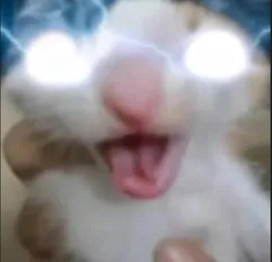 KaIeidoKat's tweet photo. @think_2much @dhaevian Se está proyectado xD https://t.co/mS3TagUiei