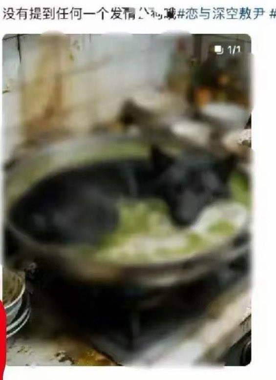 Nyx030TT's tweet photo. This game community not only likes to vent their dissatisfaction with virtual animals and make some scary pictures and videos to satisfy their emotions, but the administrators do not delete these posts. Some toxic players even abuse cats in real life. I think this has something to do with some official conniveness. Just like this game supports discrimination from the official to the community, implying some people of color. I don't understand this kind of behavior. Aren't we all human beings?
@warnerbros @Sony @WBHomeEnt @SonyPictures  @Michelle_YeohI @bladerunner @PrimeVideo @SonyMusicSouth

#AlconMustEndPPGcollab
#中国上海立刻解决叠纸争议
#BladeRunnerCollabswithRacist