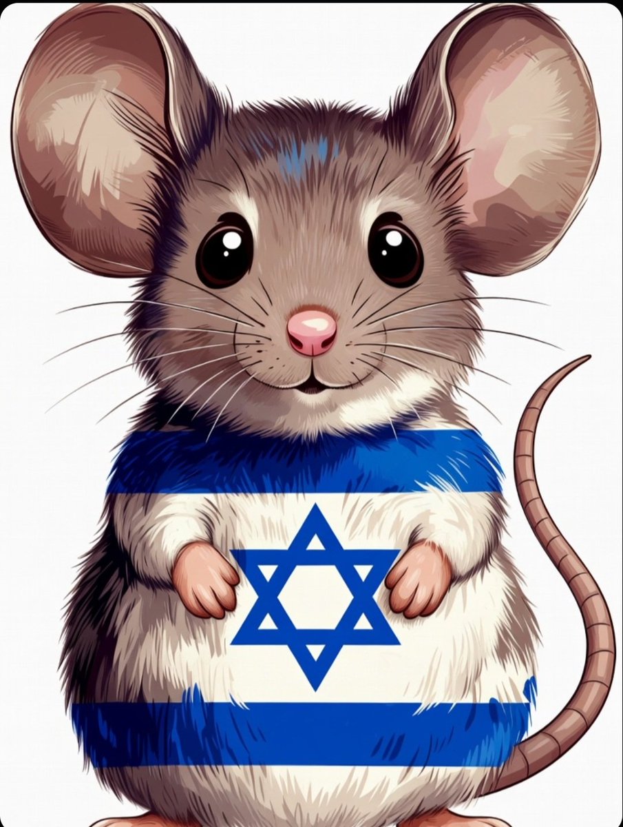 muhammadjon_o3's tweet photo. @SanaELedene https://t.co/BBoCYENPNV