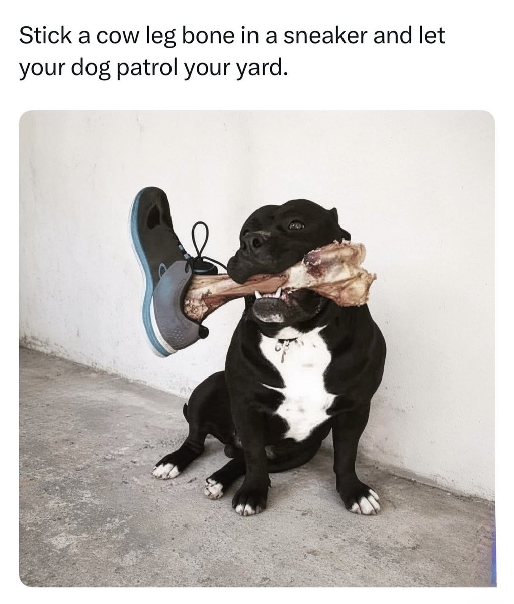 Dadsaysjokes's tweet photo. https://t.co/HyTj26lr9p