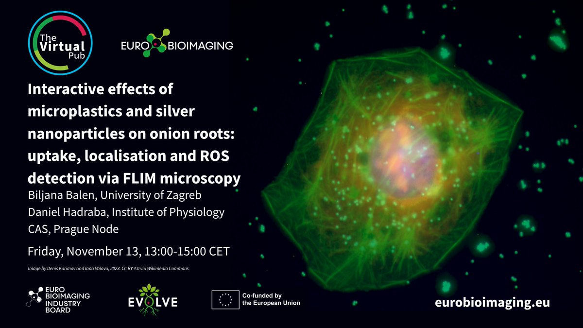 EuroBioImaging's tweet photo. At the Special Edition #VirtualPub, Biljana Balen, University of Zagreb &amp; Daniel Hadraba, Institute of Physiology CAS, share their work on microplastic polymers with advanced 2-photon excitation microscopy &amp; FLIM. 
Full abstract &amp; registration⤵️ 
https://t.co/IxSsMLttcD https://t.co/hqBdECmR97