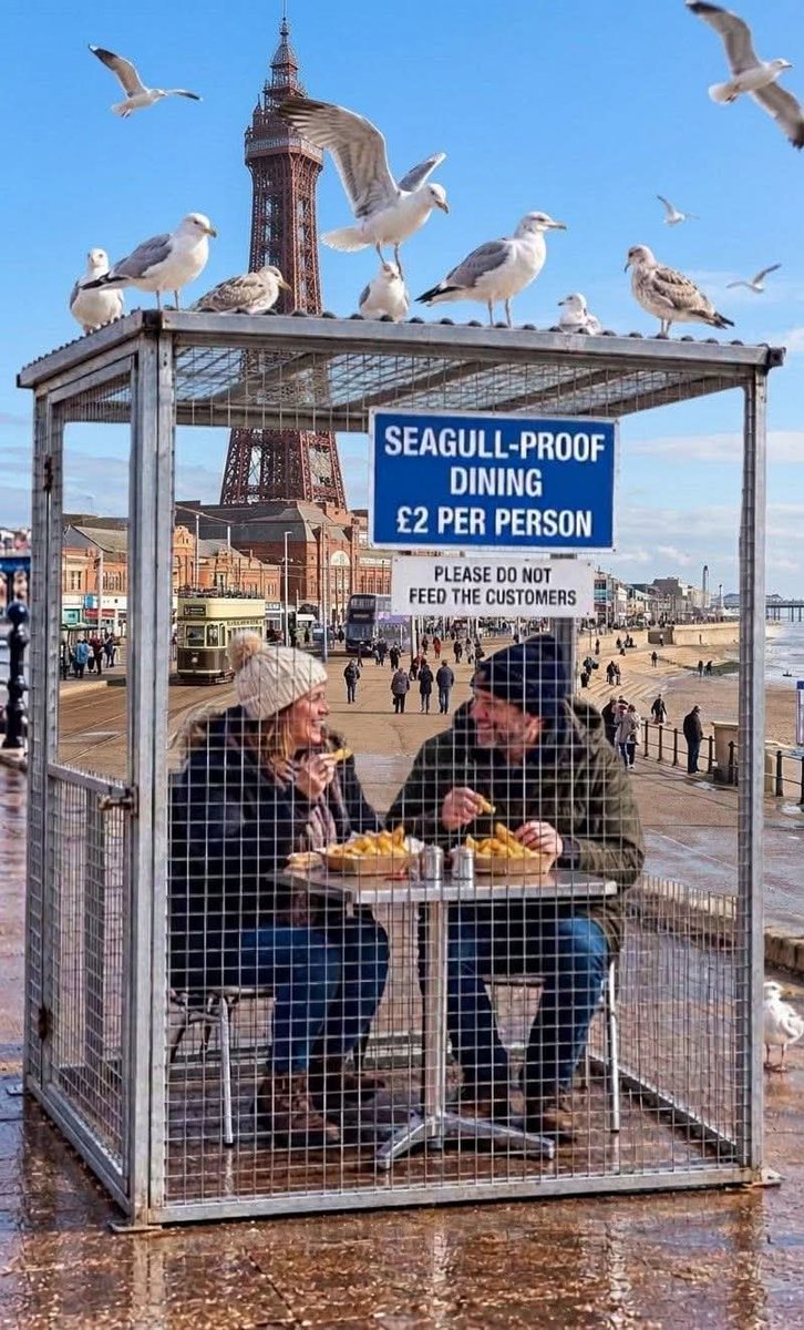 Lostock_Henge's tweet photo. Blackpool have introduced seagull proof eating areas along the promenade https://t.co/tnpL8tcHCc