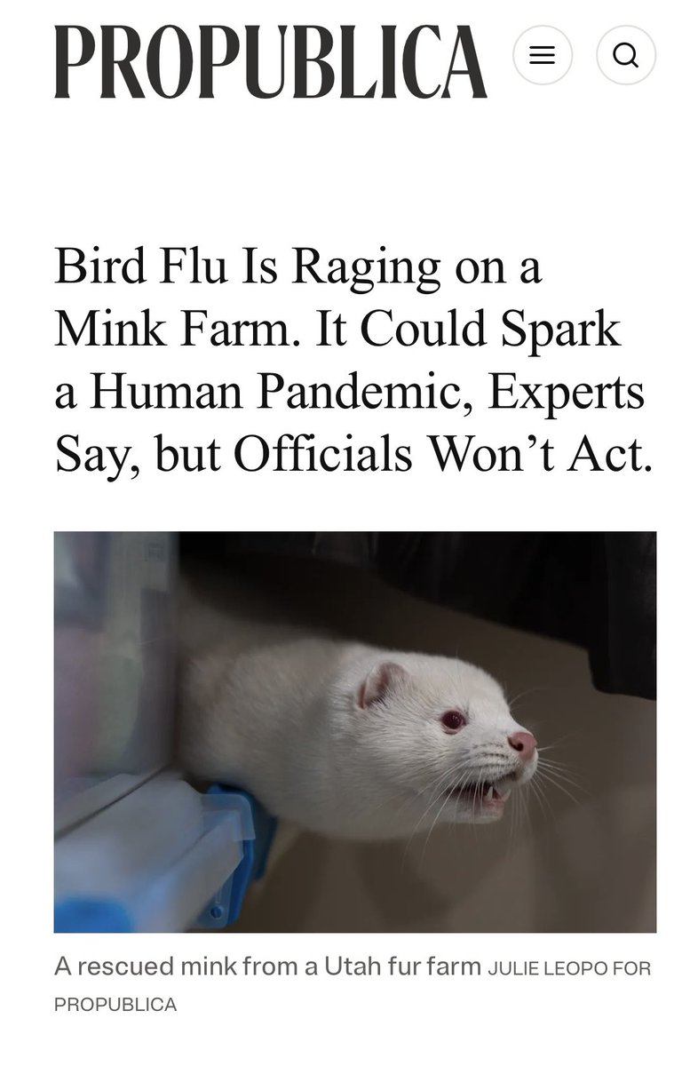 XforAnimals tweet picture