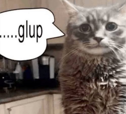 DemonKittyMewg's tweet photo. @FatFuckinFeline https://t.co/CGH7tdeZDP