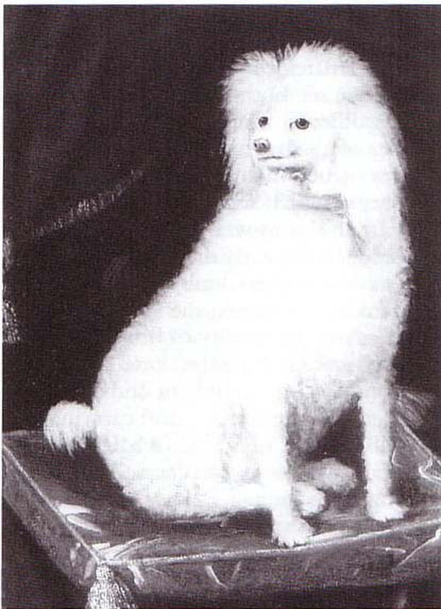 aethelfleds's tweet photo. Some people have a moral compass. I, however, have this portrait of Prince Rupert's war poodle Boy that I stare at until he guides me to make a decision https://t.co/q4R95Xajj3
