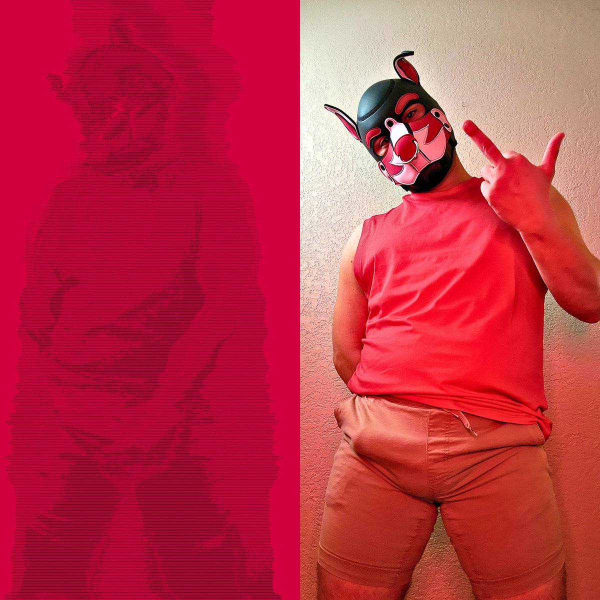 TrueWhorror tweet picture