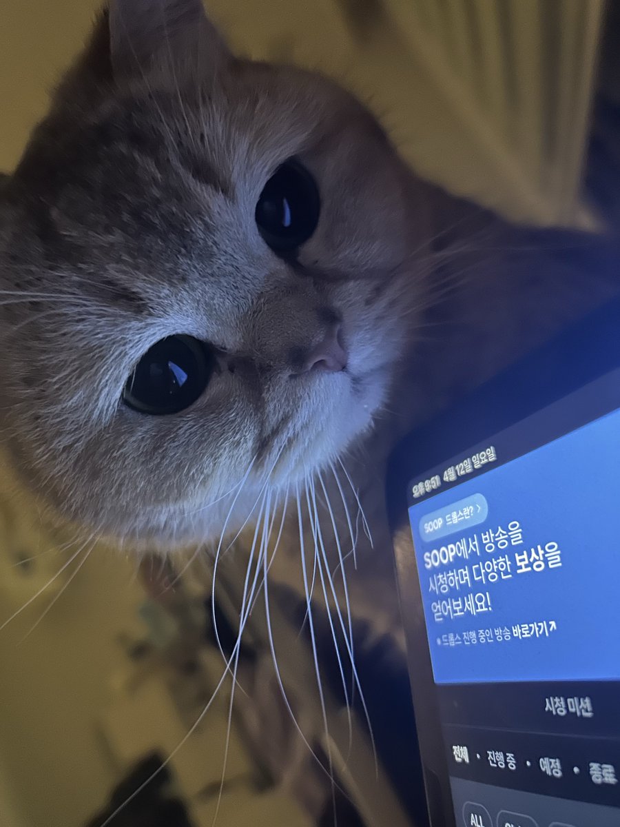 skmhs16's tweet photo. 트친분들중에 토일
직관 오시는 분 잇나염?
…
Letmeknow https://t.co/MVbD0mnRSe
