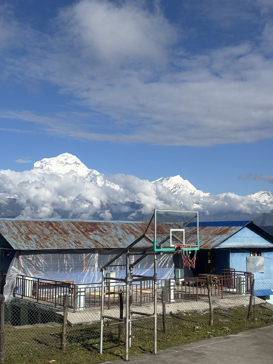 purshotam_03's tweet photo. Some of the shots i took on the way to ABC ❤️ #ABC #Nepal #Trek #Mountains #Nature https://t.co/JswU3PzDdG