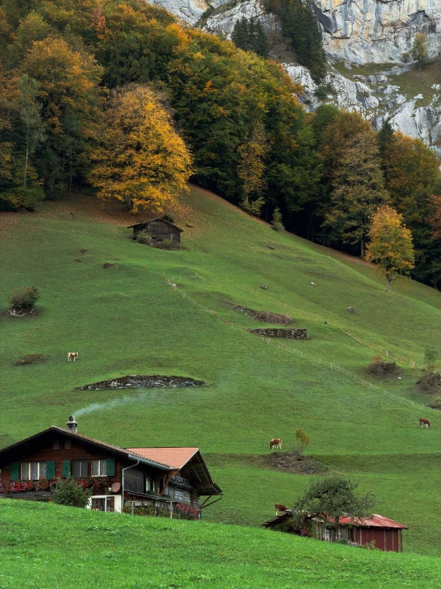 naturebeauty760's tweet photo. Lauterbrunnen, Switzerland 🇨🇭 https://t.co/TGUDBW7E3g