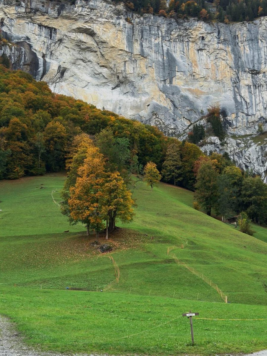 naturebeauty760's tweet photo. Lauterbrunnen, Switzerland 🇨🇭 https://t.co/TGUDBW7E3g