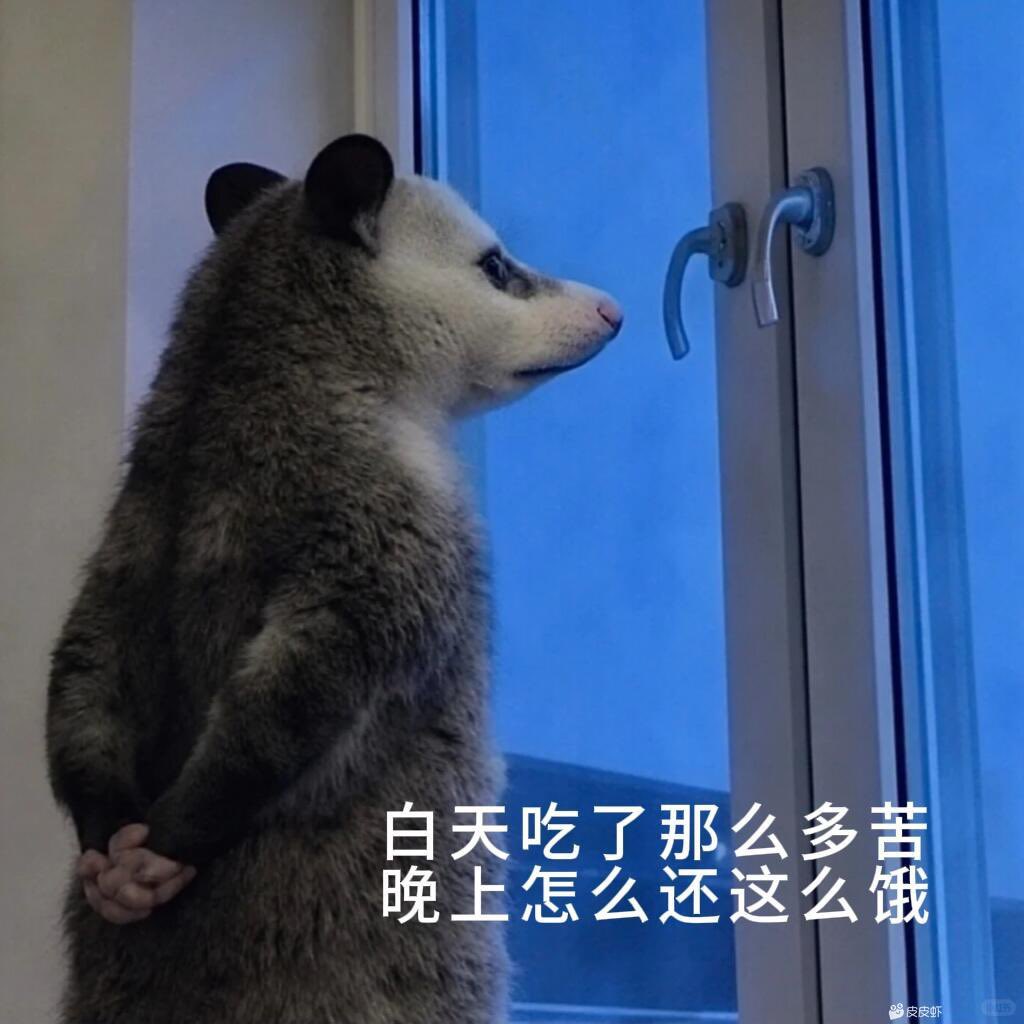 lzy230202's tweet photo. 又是美好的一天

看着大家都这么努力

还有领到工资的

真欣慰 https://t.co/q3FjZip7Mz