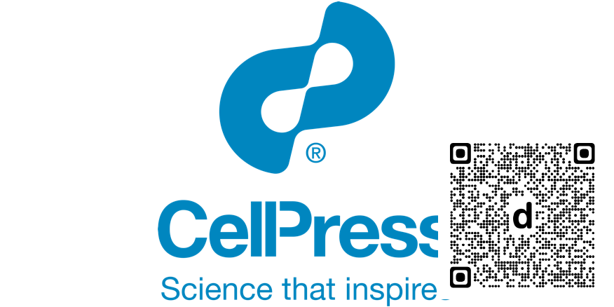 CellReports's tweet photo. Depletion of CARM1 slows in vivo tumorigenicity and rewires developmental programming in glioma stem-like cells dlvr.​it/TW2CCl https://t.co/PjNphS84mb