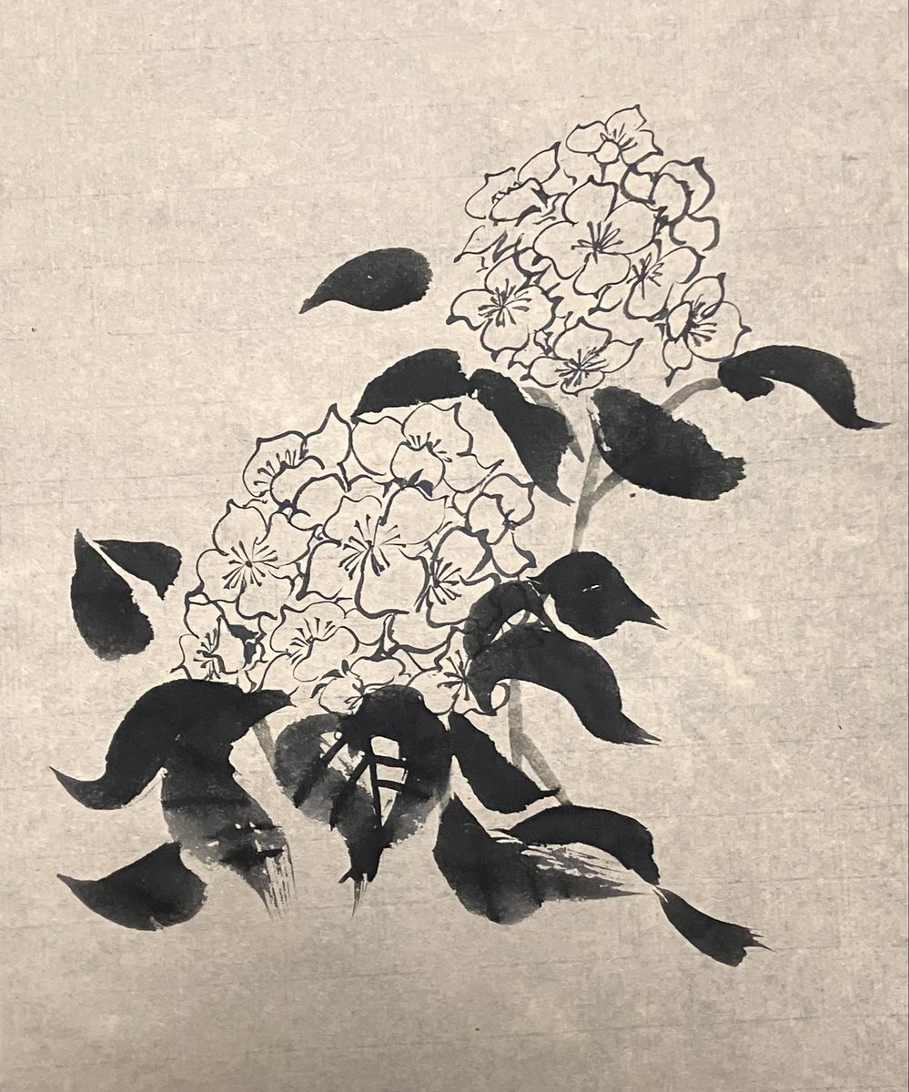 thikumori's tweet photo. 紫陽花 https://t.co/xSPzb41aDU