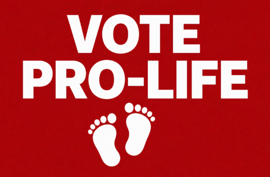 LifeNewsHQ's tweet photo. We're voting pro-life to save babies from abortions!

Who else? https://t.co/NEp9kdmXX6
