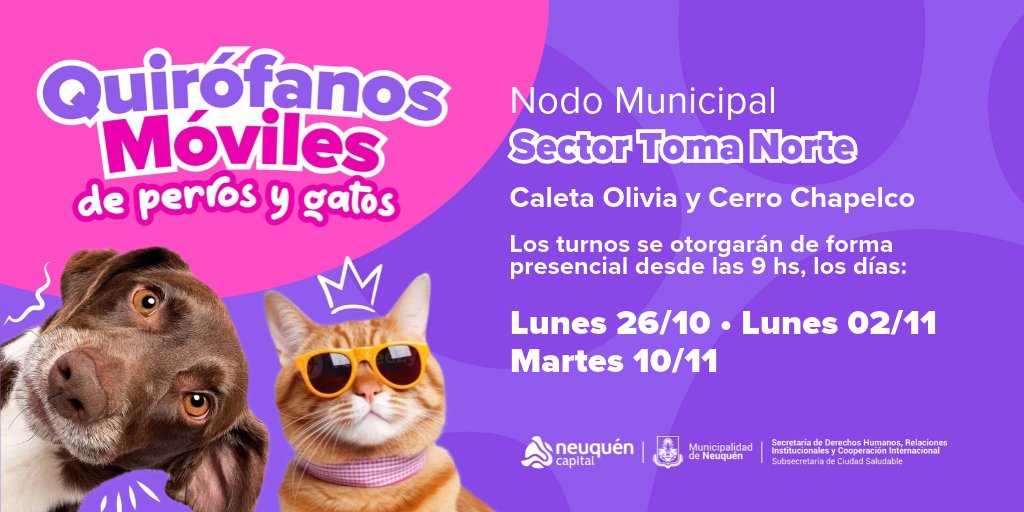DDHH_RI_CI's tweet photo. ¡Seguimos recorriendo los barrios de la ciudad con nuestros Quirófanos Móviles!

Este lunes 26 de octubre, a partir de las 9 hs. Solicitá tu turno 👇

#PrimeroNeuquén 
@munineuquen 
@GiovanettL https://t.co/gL8QlSLIzn