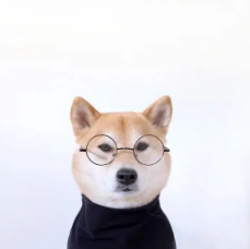 GoldenCatDev's tweet photo. why is it super

it should be the image that went 30m on RH
https://t.co/xxlPQ5fR9E https://t.co/7faPtmugL9
