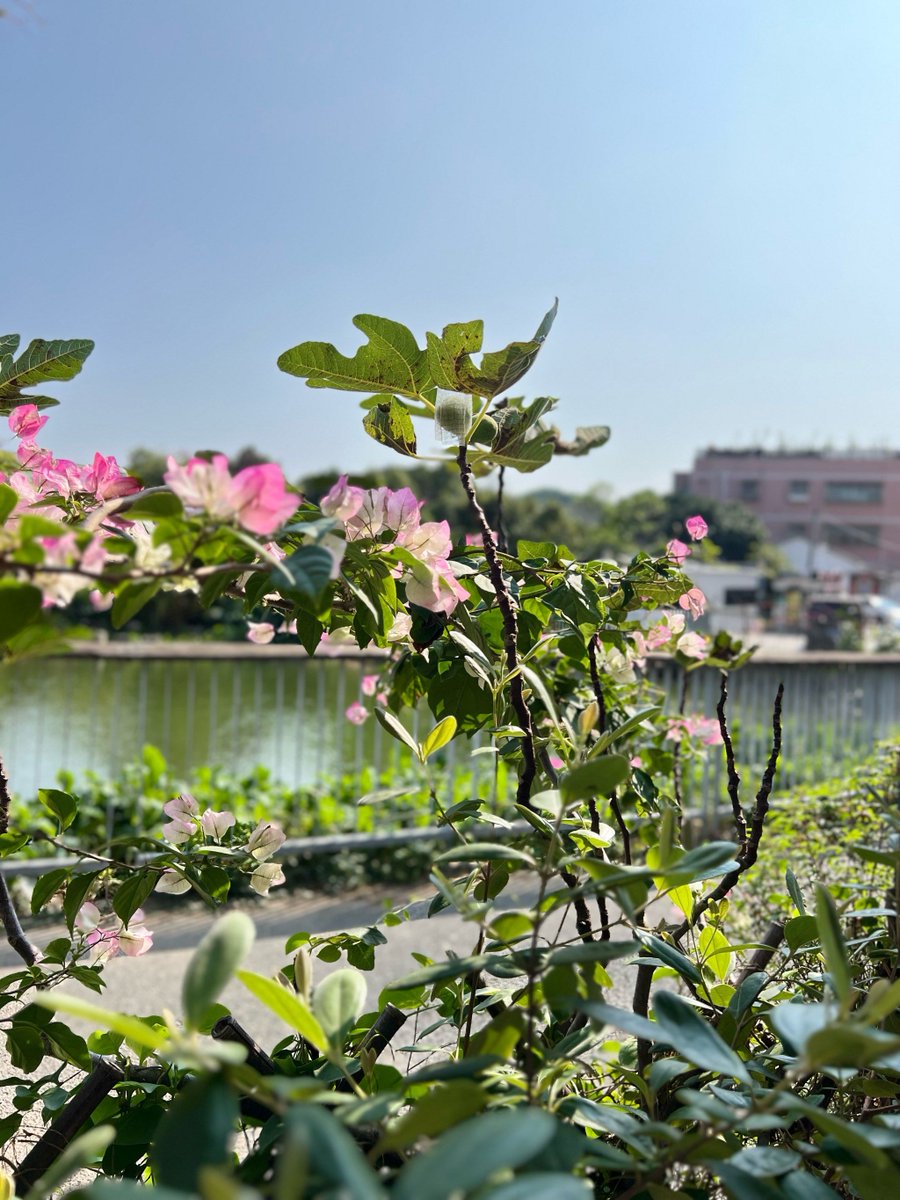 jpotonon's tweet photo. 夜の芳しき寡黙な杭、静かな場所で佇んでるんだ https://t.co/TqdcDcQi80